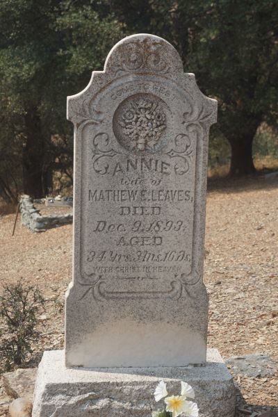 [Picture of Annie Leaves grave]